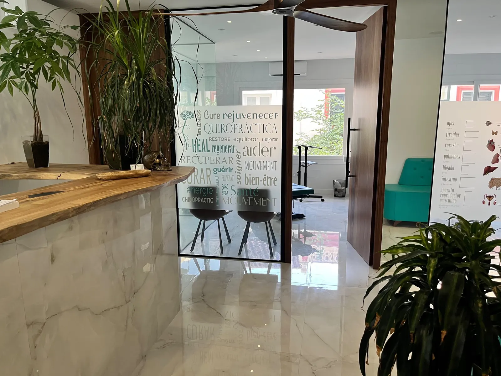 Recepción con mostrador de madera y, al fondo, la puerta de la sala de tratamiento