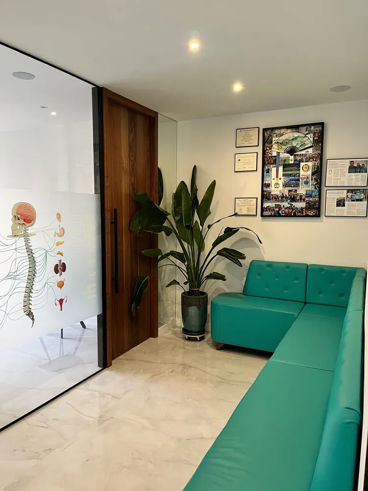 Sala de espera con sofá turquesa, plantas y los títulos del Dr. Ryan Cevola en la pared