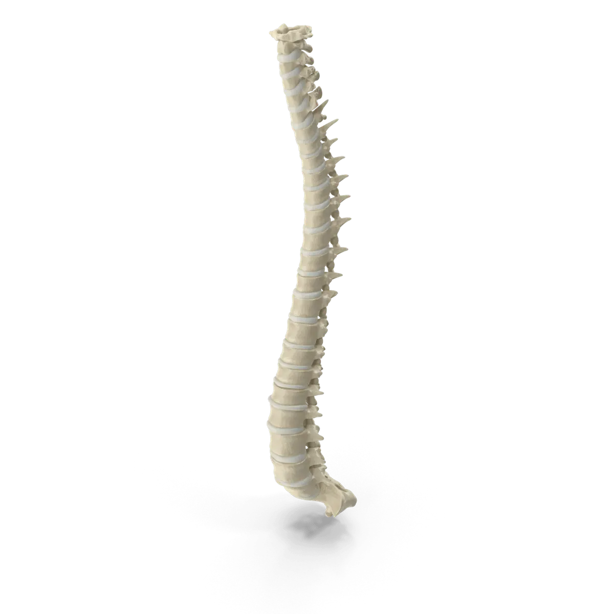 Tratar la hernia discal sin cirugía
